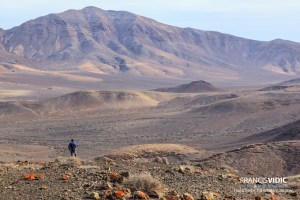 francisvidicfueretevntura (16 de 40)